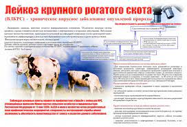 foto 21 09 2022 10 50 1