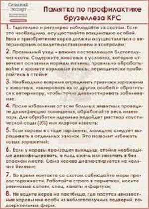 foto 21 09 2022 10 50 2