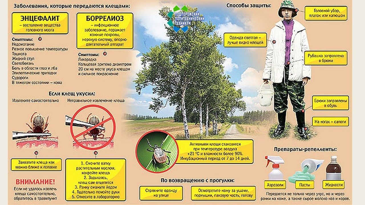 Осторожно, клещи!